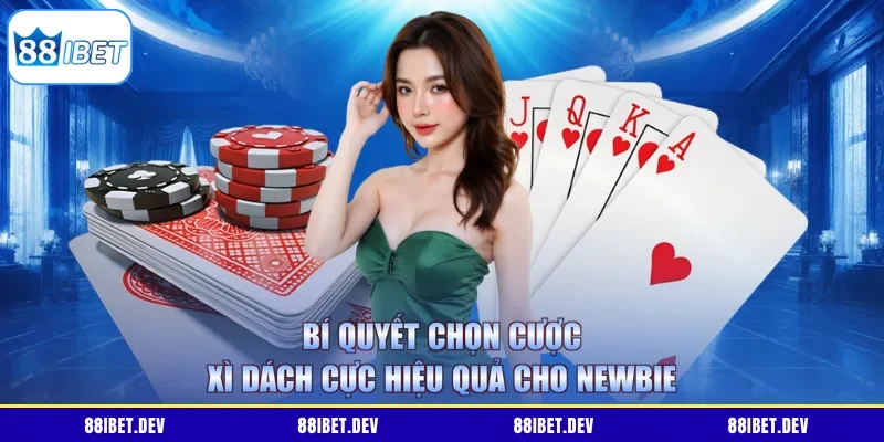 Bí quyết chọn cược Xì Dách cực hiệu quả cho newbie