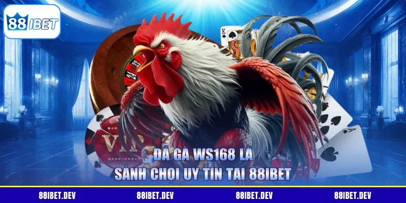 Đá gà WS168 là sảnh chọi uy tín tại 88IBET