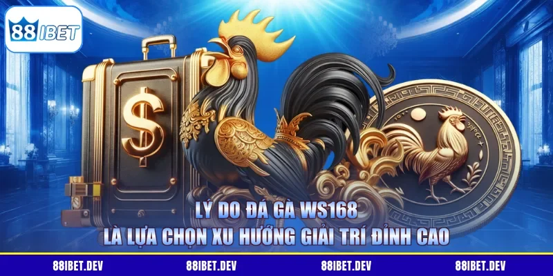 Lý do đá gà WS168 là lựa chọn xu hướng giải trí đỉnh cao