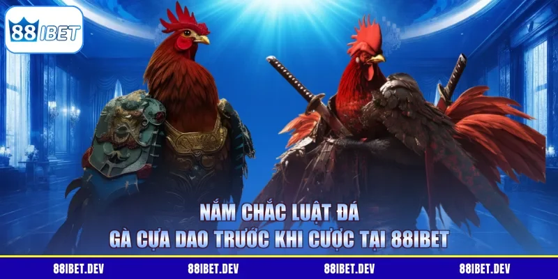 Nắm chắc luật đá gà cựa dao trước khi cược tại 88IBET