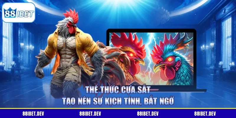 Thể thức cựa sắt tạo nên sự kịch tính, bất ngờ